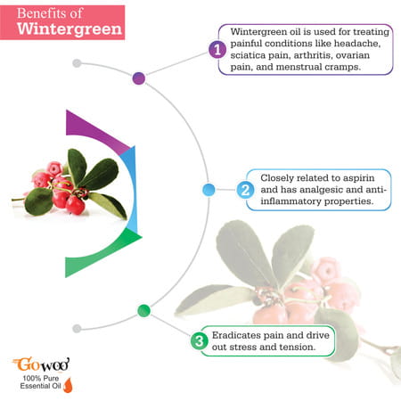 Pack Of 2 Wintergreen Essential Oil & Wheat Germ Carrier Oil - 100% Pure Natural & Undiluted