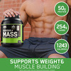 Optimum Nutrition (On) Serious Mass Weight Gain Powder - 3 Lbs 1.36 Kg (Chocolate)