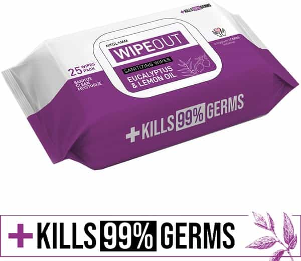 Myglamm Wipeout Sanitizing Wipes - 25 Wipes