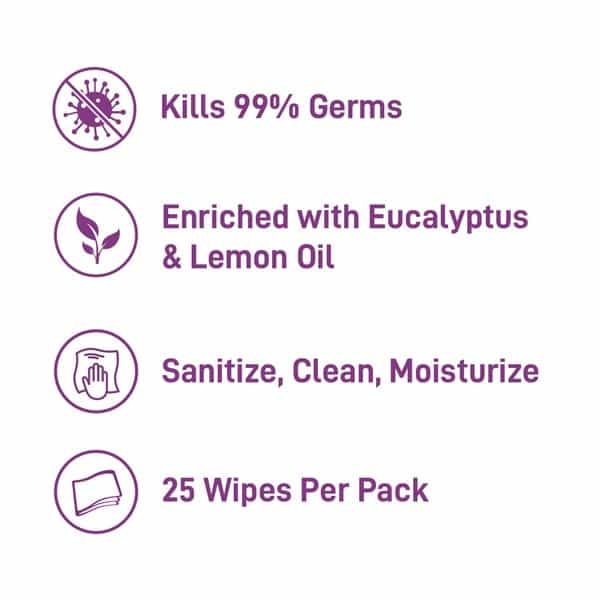 Myglamm Wipeout Sanitizing Wipes - 25 Wipes