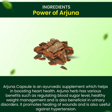Cipzer Arjuna 30 Capsules | Supports Heart Health| Circulation & Cardiovascular Wellness
