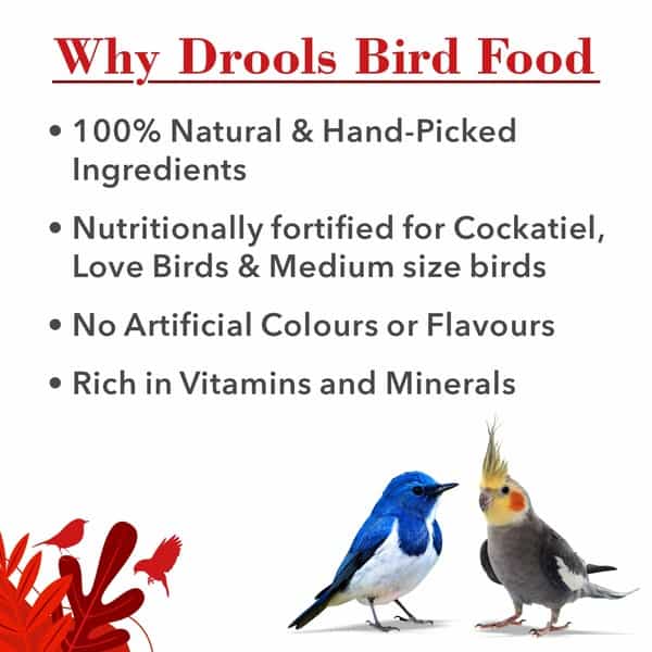 Drools Bird Food For Love Birds And Cockatiel With Mixed Seeds 1Kg