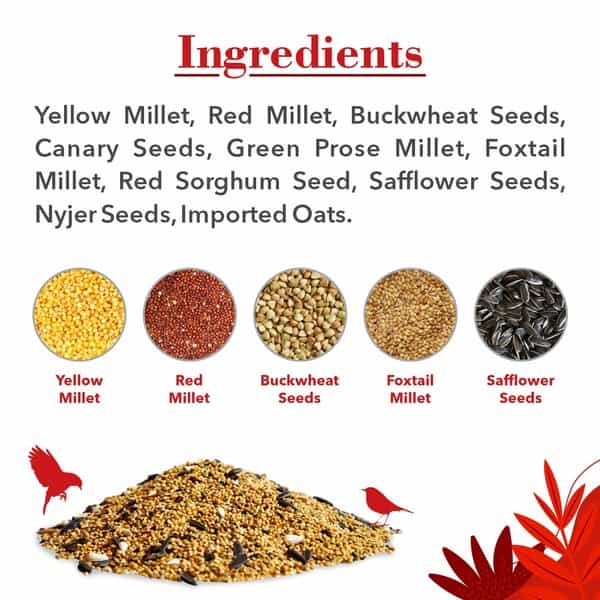 Drools Bird Food For Love Birds And Cockatiel With Mixed Seeds 1Kg