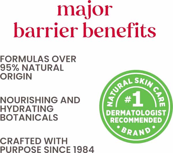 Burts Bees Medicated Moisturizing Lip Balm | Soothing Relief | 4.25G Each | Pack Of 2