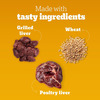 Pedigree Tasty Jerky Dog Treat | Grilled Liver Flavour | 70 G X 12 | Jerky-Style Treats For Bonding