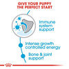 Royal Canin Puppy Giant - 3.5Kg