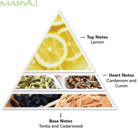 Maryaj After Dark Pour Homme Edp 100ml & Tuxedo For Him Edp 100ml Pack Of 2