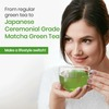 Wellbeing Nutrition Matcha Green Tea With Antioxidants | Detox And Energy 20Tabs (Pack Of 1)