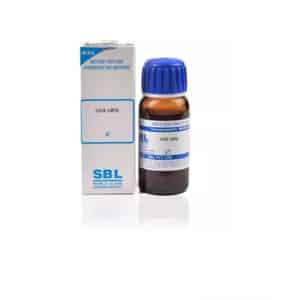 Sbl Uva Ursi Mother Tincture Q 30 Ml Pack Of 2