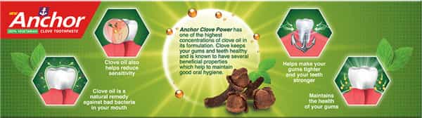 Anchor Clove Power Toothpaste - 175Gm