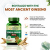 Vlado's Himalayan Organics Korean Red Ginseng 1000Mg/Serve 100 Veg Capsules