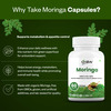 Oribite Moringa Leaf Capsules For Daily Nutrition Support 60 Capsules