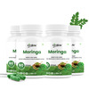 Oribite Moringa Leaf Capsules For Daily Nutrition Support 60 Capsules