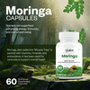 Oribite Moringa Leaf Capsules For Daily Nutrition Support 60 Capsules
