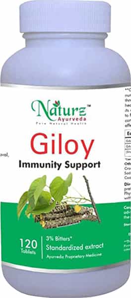 Naturz Ayurveda Giloy 120 Tablets (Pack Of 4)