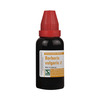 Dr. Willmar Schwabe India Berberis Vulgaris (Mt)30Ml