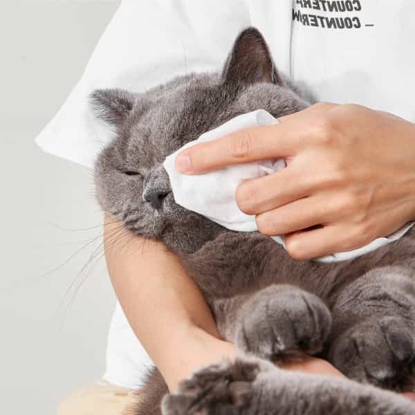 Fofos Pet Cleaning Wipes Lavender Scented - 80Pcs