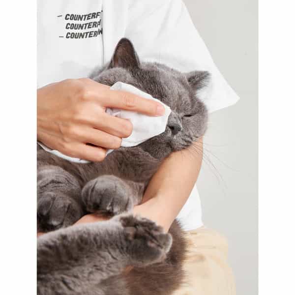 Fofos Pet Cleaning Wipes Lavender Scented - 80Pcs