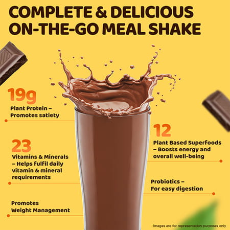 Fast&Up Goodeatz Meal Shake| Tasty Meal Replacement - 20 Scoops Protein Shake