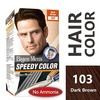 Bigen Men's Speedy Color Dark Brown 103 80G (Pack Of 2)
