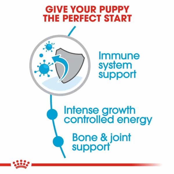 Royal Canin Giant Pellet Dog Food For Puppy | Meat Flavour | 15 Kg