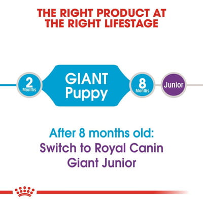 View product image 5