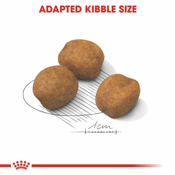 Royal Canin Giant Pellet Dog Food For Puppy | Meat Flavour | 15 Kg