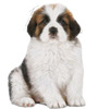 Royal Canin Giant Pellet Dog Food For Puppy | Meat Flavour | 15 Kg