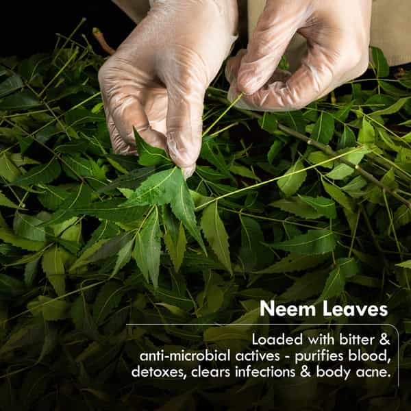 Nat Habit Sacred Neem Soap - For Detoxifiaction & Acne Free Clear Skin (125G)