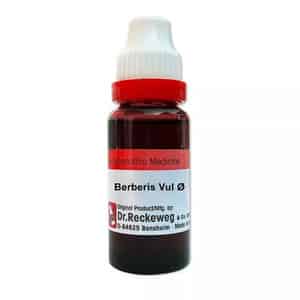 Dr. Reckeweg Germany Homeopathic Berberis Vulgaris Mother Tincture Q