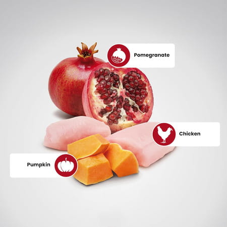 Farmina N&D Pumpkin Puppy Medium/Maxi Dog Food | Chicken | Pumpkin & Pomegranate | 12kg