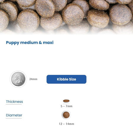 Farmina N&D Pumpkin Puppy Medium/Maxi Dog Food | Chicken | Pumpkin & Pomegranate | 12kg