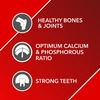 Drools Absolute Calcium Tablet - Dog Supplement 50 Pieces