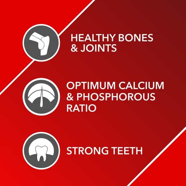 Drools Absolute Calcium Tablet - Dog Supplement 50 Pieces