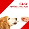 Drools Absolute Calcium Tablet - Dog Supplement 50 Pieces