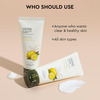 The Face Shop Herbday 365 Masterblending Foaming Cleanser Lemon - 100Ml