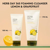The Face Shop Herbday 365 Masterblending Foaming Cleanser Lemon - 100Ml