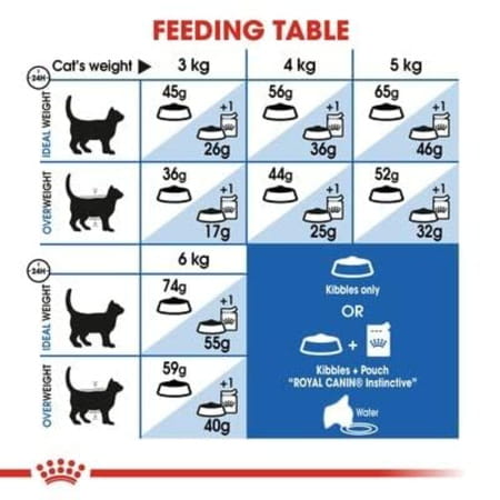 Royal Canin Indoor 27 Home Adult Cat Food | 2 Kg | Dry Food With Moderate Calories