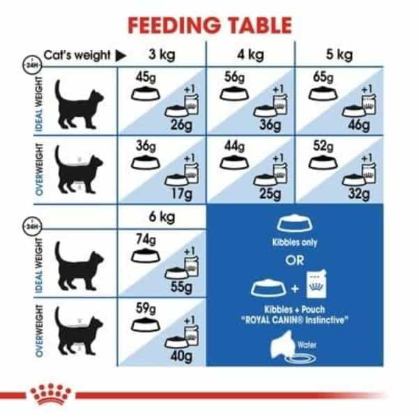 Royal Canin Indoor 27 Home Adult Cat Food | 2 Kg | Dry Food With Moderate Calories