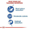 Royal Canin Indoor 27 Home Adult Cat Food | 2 Kg | Dry Food With Moderate Calories