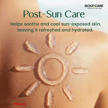 Goodcare Aloevera Gel - 300 Gm