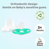 R For Rabbit Apple Pacifier-M Green