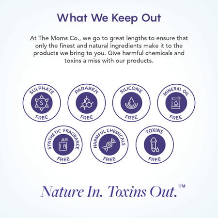 The Moms Co. Natural Vanilla Lip Balm 5gm