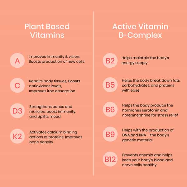 Wellbeing Nutrition Melts Multivitamin 100% Rda For Better Immunity & Increased Energy 30 Strips
