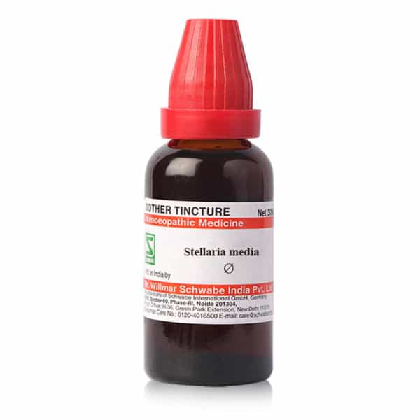 Dr. Willmar Schwabe India Stellaria Media Mt 30Ml