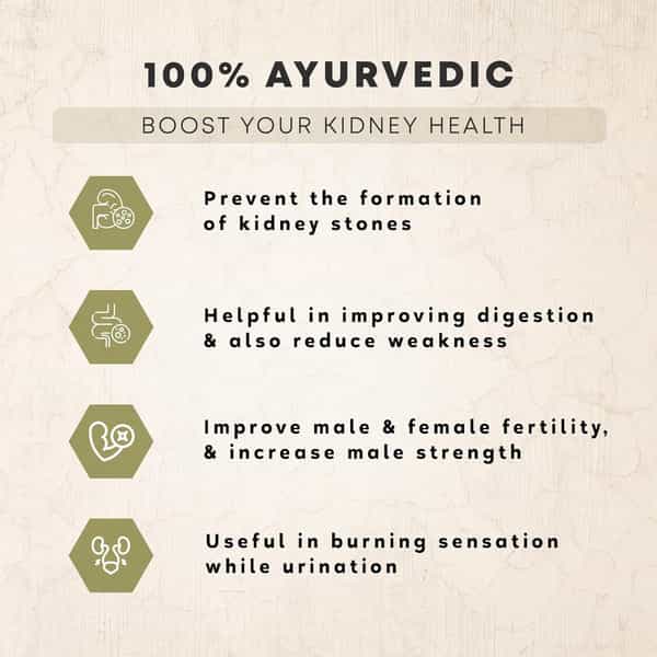 Four Seasons Gokhru Juice 500Ml | Improve Kidney Function & Urinary Health - Muscle Recovery