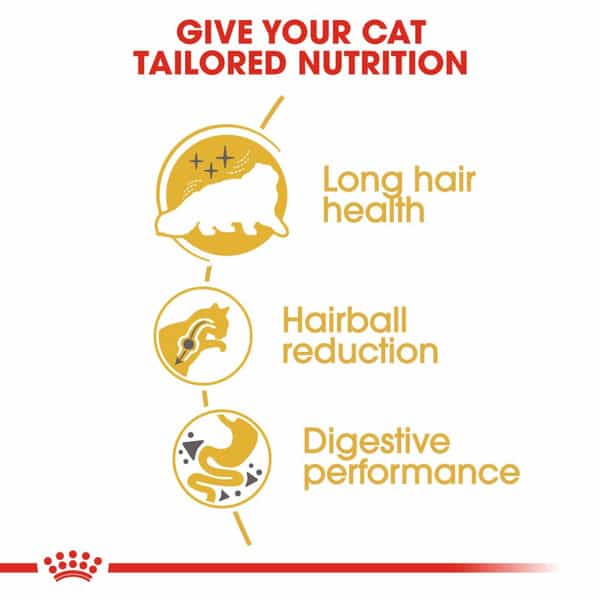 Royal Canin Persian Adult Cat Food | 1 Kg | Dry Food