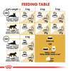 Royal Canin Persian Adult Cat Food | 1 Kg | Dry Food