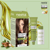 Neeta Professional Pro Fashion Color Kit 3.0 Dark Brown 100g | Permanent Creme Hair Color | Unisex