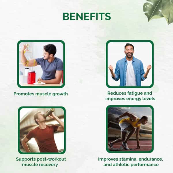 Dr. Vaidya's Herbobuild 50 Capsules Each - Pack Of 3